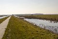 Langs de Tjonger 17-3-2016-09